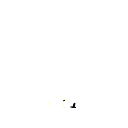 yd555
