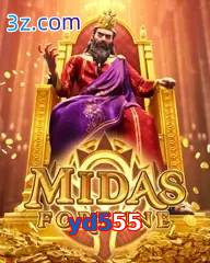 yd555
