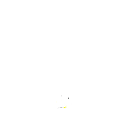 yd555